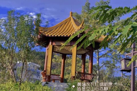 岁月静好，素简时光 —— 在宁静与繁华间轻舞，寻觅心灵的归途