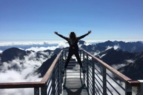 当i人遭遇人际压力，他们如何优雅应对？