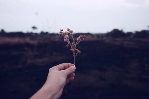 社交恐惧症？不，你可能只是沉迷于一场‘敌意想象’的梦