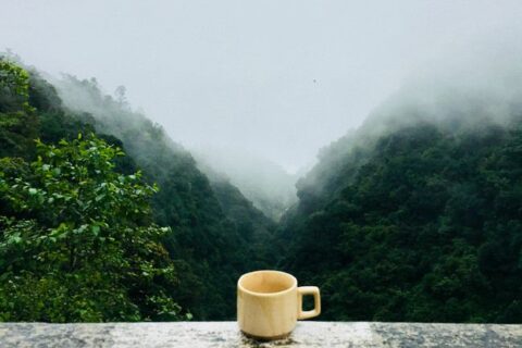 最新阿尔法脑波音乐合集