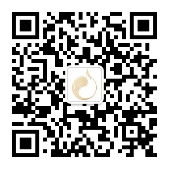 关注公众号