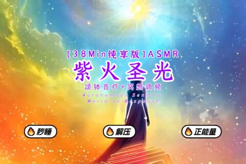 紫火圣光能量调频-颂钵冥想-视频课程